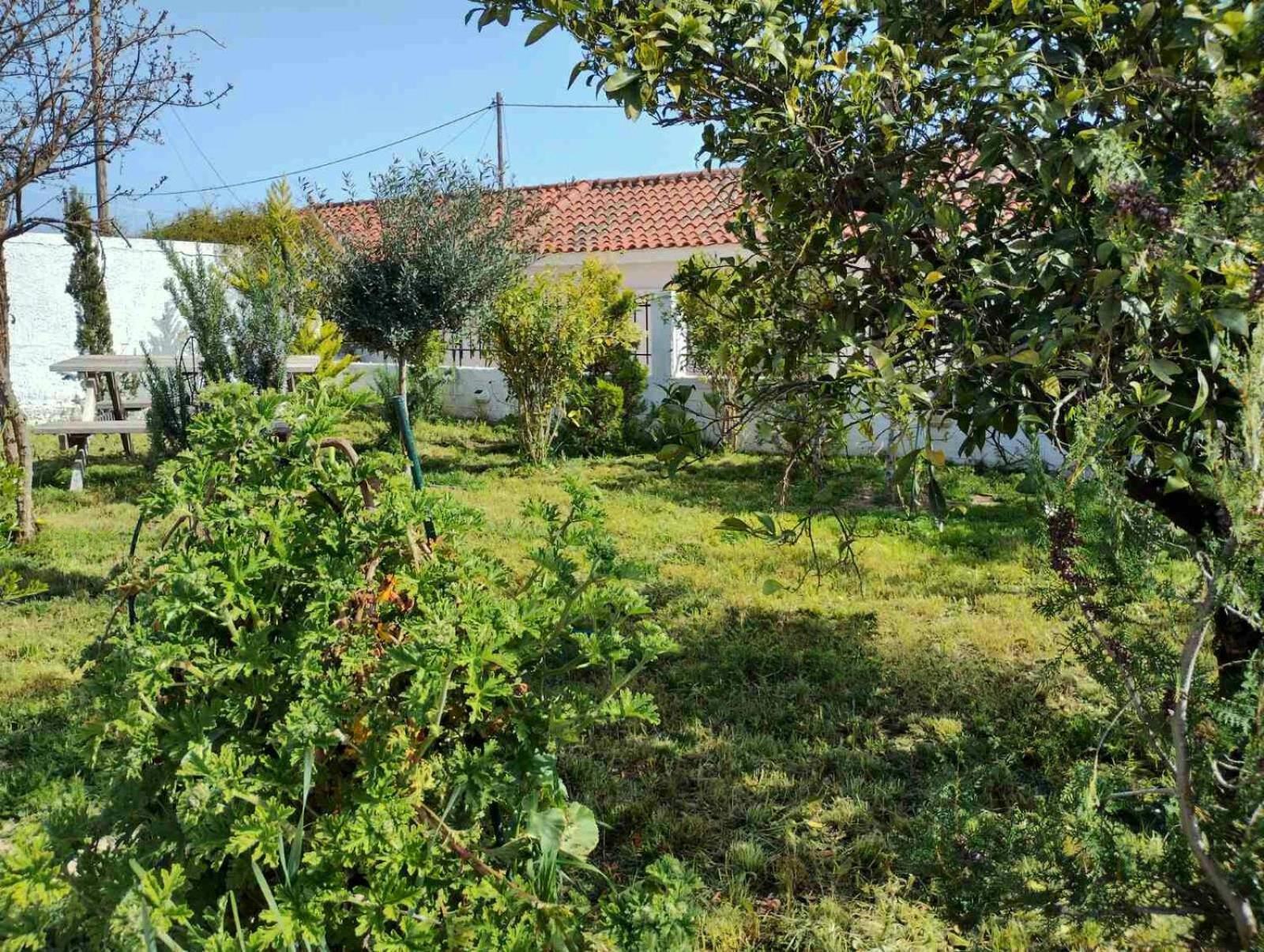 Nafplio Cottage-Grandma'S Yard Asíni 외부 사진